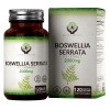 EN Boswellia Serrata 5:1 Extrait de Encens | Haute Concentation | 2000mg Supplément | 120 Gélules Vegan | Sans OGM et Sans Gl