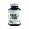 Boswellia Serrata 10:1 Extrait de Encens, Haute Concentation, 500mg Supplément Pour Soin des Articulations, 120 Gélules Vegan