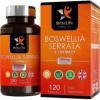 BL Boswellia Serrata Haute Teneur 5:1 Extract - 2000mg par Gélule | Résine Dencens Indien | 120 Comprimés Végétaliens | Sans