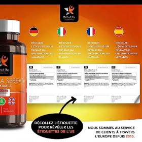 BL Boswellia Serrata Haute Teneur 5:1 Extract - 2000mg par Gélule | Résine Dencens Indien | 120 Comprimés Végétaliens | Sans