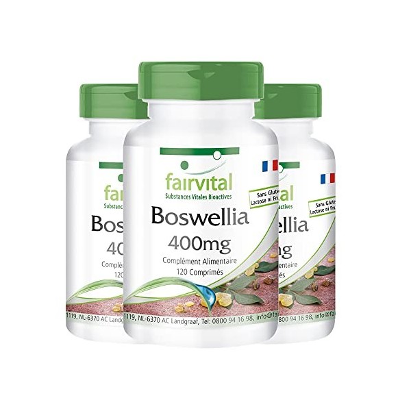 Fairvital | Boswellia Serrata 400mg - Extrait avec 65% dacides boswelliques - VEGAN - 360 comprimés 120x3 