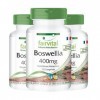 Fairvital | Boswellia Serrata 400mg - Extrait avec 65% dacides boswelliques - VEGAN - 360 comprimés 120x3 