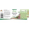 Fairvital | Boswellia Serrata 400mg - Extrait avec 65% dacides boswelliques - VEGAN - 360 comprimés 120x3 