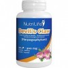 HARPAGOPHYTUM GRIFFE DU DIABLE 300 mg | extrait de résine de boswellia | 50 mg, vitamine D3 | Articulations | 90 capsules v