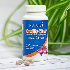 HARPAGOPHYTUM GRIFFE DU DIABLE 300 mg | extrait de résine de boswellia | 50 mg, vitamine D3 | Articulations | 90 capsules v