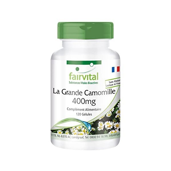 Fairvital | Grande Camomille 400 mg - 120 gélules pour 4 mois - Tanacetum parthenium - Feverfew - 100% végétalien