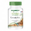 Fairvital | Cannelle Plus - extrait de cannelle avec 200μg de chrome & 10mg de zinc - 90 gélules