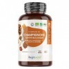 8 Champignons Bio en Complexe - Reishi Bio, Maitake Bio, Chaga Bio, Shiitake Bio, Lions Mane Bio, Cordyceps Bio, Huître Copri