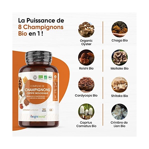 8 Champignons Bio en Complexe - Reishi Bio, Maitake Bio, Chaga Bio, Shiitake Bio, Lions Mane Bio, Cordyceps Bio, Huître Copri