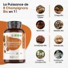 8 Champignons Bio en Complexe - Reishi Bio, Maitake Bio, Chaga Bio, Shiitake Bio, Lions Mane Bio, Cordyceps Bio, Huître Copri