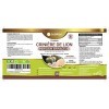 LIONS MANE HERICIUM ERINACEUS - Concentration et Mémoire 10X 10:1 Extrait - Complement Alimentaire Cerveau Clair - 120 Capsul