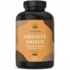 Cordyceps sinensis extrait CS-4 - 270 gélules 650 mg - 1950mg par jour - avec 40% de polysaccharides bioactifs - Testé en