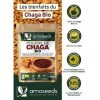 Poudre de Chaga Bio 150G | Tonifiant, Antioxydant, 8,9% Bêta-glucanes, Défenses Immunitaires | Qualité Supérieure