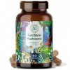 Champignons vitaux fonctionnels dAlpha Foods avec Maitake, Shiitake, Chaga, Cordyceps, Reishi, Lions Mane, Agaricus - Extrai