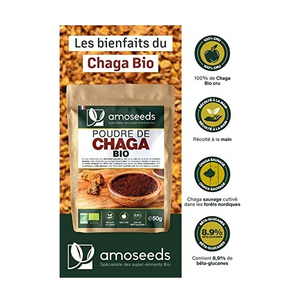 Poudre de Chaga Bio 50G | Tonifiant, Antioxydant, 8,9% Bêta-glucanes, Défenses Immunitaires | Qualité Supérieure