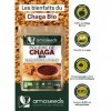 Poudre de Chaga Bio 50G | Tonifiant, Antioxydant, 8,9% Bêta-glucanes, Défenses Immunitaires | Qualité Supérieure