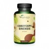 Cordyceps sinensis CS-4 | 6500 mg 10:1 | 4 MOIS | 40% Polysaccharides | SANS ADDITIFS | Adaptogène | 120 Gelules | VEGAN | 