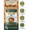 Shiitaké en Poudre Bio 50G | 100% Champignons Shiitaké | Umami, Vitalité, Immunité | Qualité Supérieure