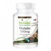 Fairvital | Maitake 500mg VEGAN - Fortement dosé - 90 capsules - poudre de champignon