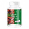Poudre de Reishi 650mg - 120 gélules, Champignon vital fonctionnel, adaptogène, végétalien | Vitamintrend®