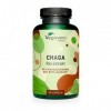 Chaga BIO Vegavero® | 6000 mg de Poudre 600 mg dExtrait 10:1 | Avec 40% Polysaccharides & 30% Bêta-Glucanes | Sans Additif