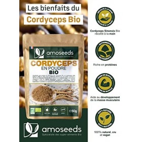 Cordyceps en Poudre Bio 50G | Qualité Supérieure | Anti-fatigue, Anti-stress, Énergie, Immunité