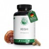 Reishi 100 gélules de 500 mg extrait 20:1 - 10.000mg de poudre de Ganoderma Lucidum -30% de polysaccharides - Production al