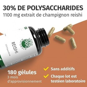 Reishi 100 gélules de 500 mg extrait 20:1 - 10.000mg de poudre de Ganoderma Lucidum -30% de polysaccharides - Production al