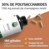 Reishi 100 gélules de 500 mg extrait 20:1 - 10.000mg de poudre de Ganoderma Lucidum -30% de polysaccharides - Production al
