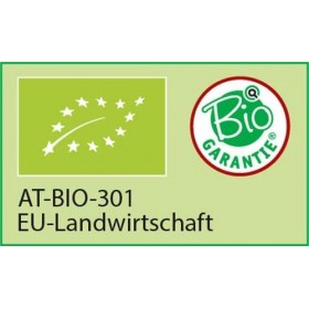 Pure Bio Shiitake 120 capsules chacune 500 mg Lentinula edodes poudre de champignons médicinaux de lagriculture biologique d