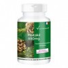 Poudre de maitake 650mg - 120 gélules, Champignon vital fonctionnel, adaptogène, végétalien | Vitamintrend®