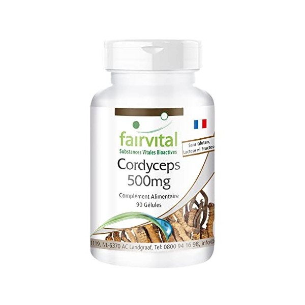 Fairvital | Cordyceps 500mg VEGAN - Fortement dosé - 90 capsules - Cordyceps sinensis - champignon chenille