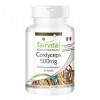 Fairvital | Cordyceps 500mg VEGAN - Fortement dosé - 90 capsules - Cordyceps sinensis - champignon chenille