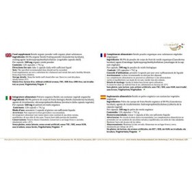 Vita World Reishi poudre qualité bio 500mg 120 Capsules Ganoderma Lucidum Made in Germany