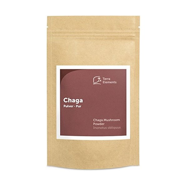 Terra Elements Chaga bio en poudre 100 g I Labelle de bouleau I 100% pure I vegan I qualité crue