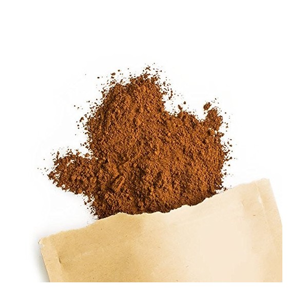 Terra Elements Chaga bio en poudre 100 g I Labelle de bouleau I 100% pure I vegan I qualité crue