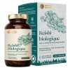 Nature Basics® Gélules de reishi BIO avec 40% de polysaccharides bioactifs | 120 gélules en bocal | 500mg par gélule | dAlle