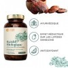 Nature Basics® Gélules de reishi BIO avec 40% de polysaccharides bioactifs | 120 gélules en bocal | 500mg par gélule | dAlle