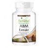 Fairvital | ABM 500mg - Extrait dAgaricus Blazei - VEGAN - 90 gélules - 45% de polysaccharides