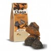 Chaga champignons de Sibérie - 500 g - Produit original - Toujours frais - Bien sûr recueilli sauvage - Broches de champignon