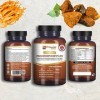 Complexe de champignons avancé | Un super mélange de 6 champignons avec Lions Mane, Chaga, Cordyceps, Shiitake, Reishi et Mai