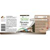 Fairvital | Pleurotes extrait 500mg VEGAN - Fortement dosé - 90 capsules - extrait de champignon standardisé à des polysaccha