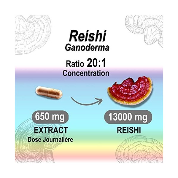 Reishi 13000 mg - Extrait 20:1-50% Polysaccharides et 20% Beta-glucans - 120 Gélules - 4 Mois - Haute Dose - Puissant Antioxy
