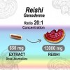 Reishi 13000 mg - Extrait 20:1-50% Polysaccharides et 20% Beta-glucans - 120 Gélules - 4 Mois - Haute Dose - Puissant Antioxy