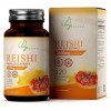 HN Reishi Gélules | Extrait 15:1 | Haute Puissance 2100mg par Dose | 120 Gélules Végétaliennes | Suppléments de Champignons |