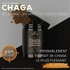 Solve Labs® ● Extrait De Chaga Sibérien Biologique En Poudre ● 10% De Bêta-D-Glucanes ● Extrait 10:1 ● Zéro Agent De Rempliss