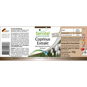 Fairvital | Coprinus 500mg VEGAN - Fortement dosé - 90 capsules - extrait de champignon standardisé à des polysaccharides 30%
