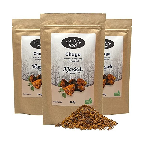 Chaga – Classique | Champignon vital | Collection sauvage | Russie du Nord