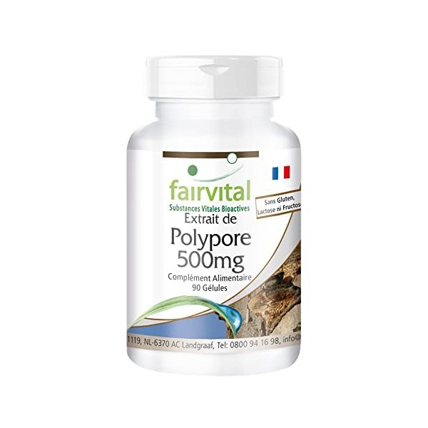 Fairvital | Polyporus extrait 500mg VEGAN - Fortement dosé - 90 capsules - extrait de champignon normalisé aux polysaccharide