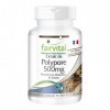 Fairvital | Polyporus extrait 500mg VEGAN - Fortement dosé - 90 capsules - extrait de champignon normalisé aux polysaccharide